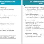 Communication unifiée SFR MCO Bretagne 1